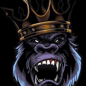 Meet your Posher, Marco